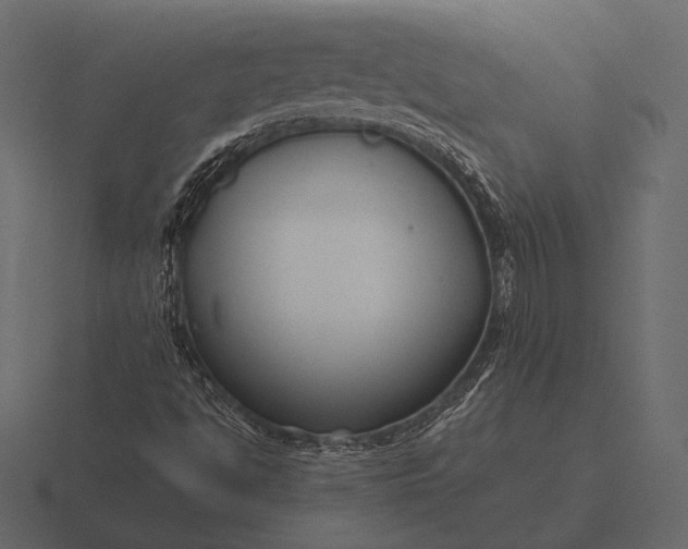 X0000116561494200912241604