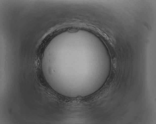 X0000116561495200912241604