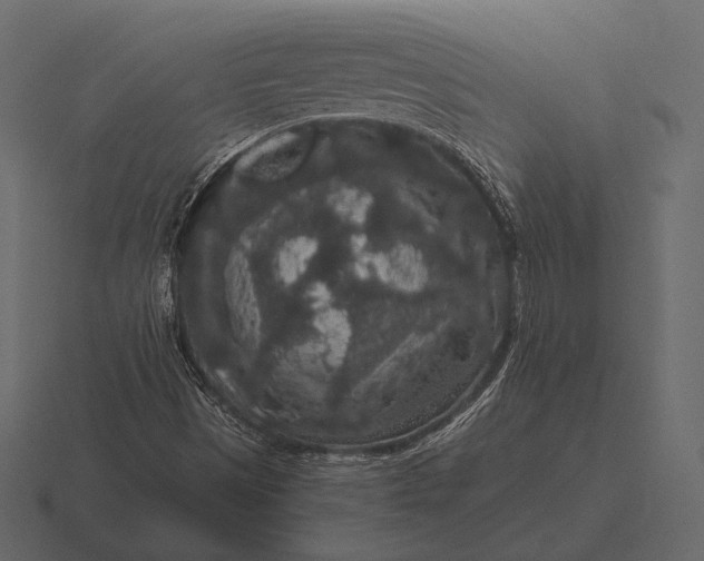 X0000116561497200912241604