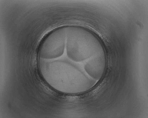 X0000116561498200912241604