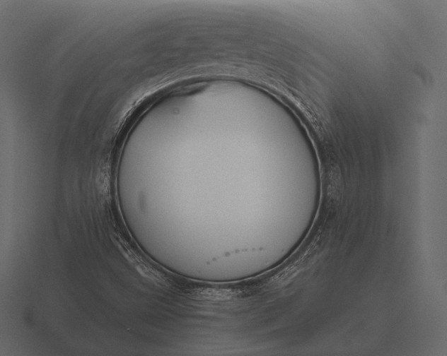 X0000116561499200912241604