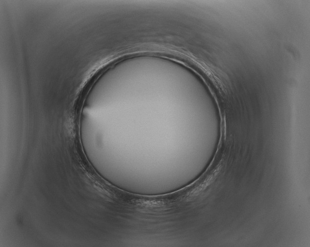 X0000116561501200912241604