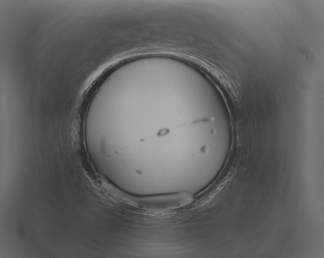 X0000116561502200912241604