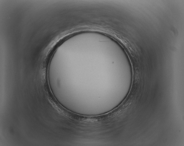 X0000116561503200912241604