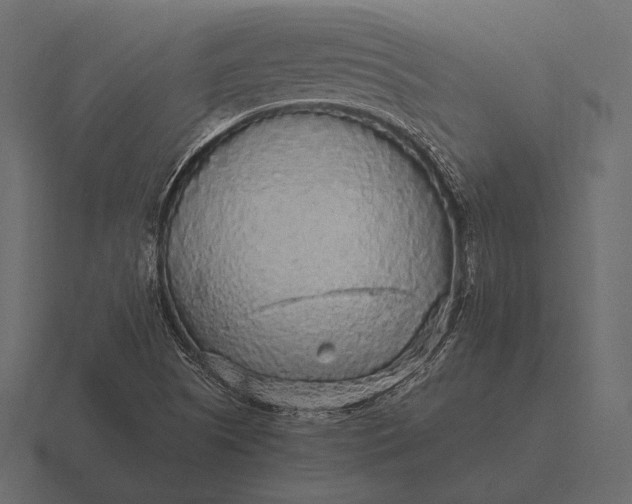 X0000116561505200912241604