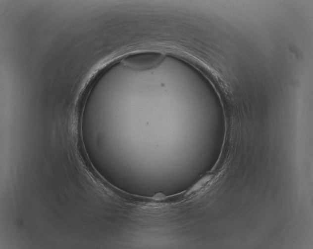 X0000116561506200912241604