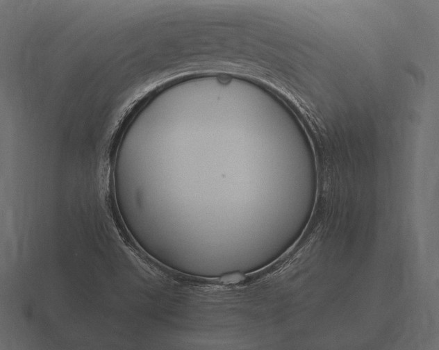 X0000116561507200912241604