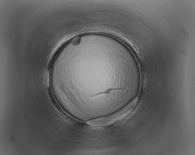 X0000116561509200912241605