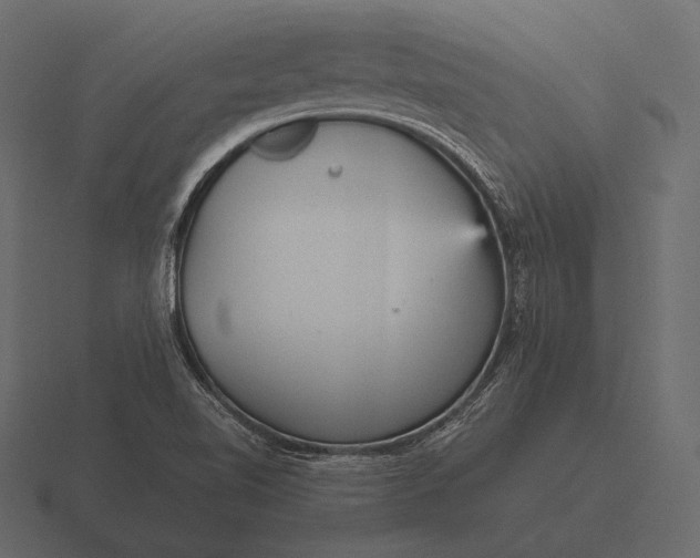 X0000116561510200912241605