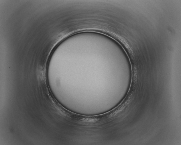 X0000116561513200912241605