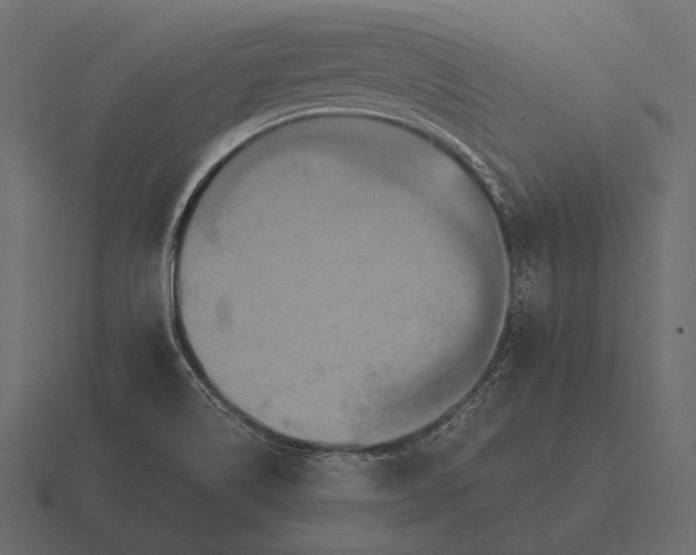 X0000116561514200912241605