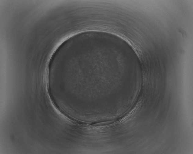 X0000116561515200912241605