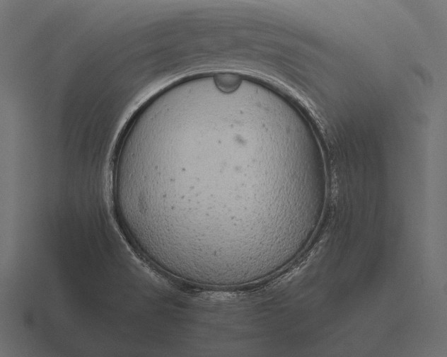 X0000116561517200912241605