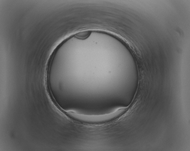 X0000116561518200912241605