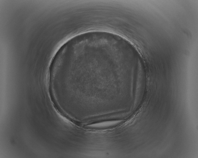 X0000116561519200912241605