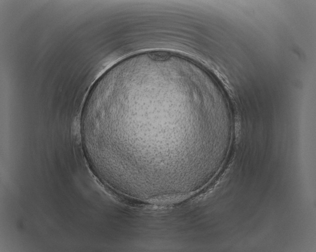 X0000116561521200912241605