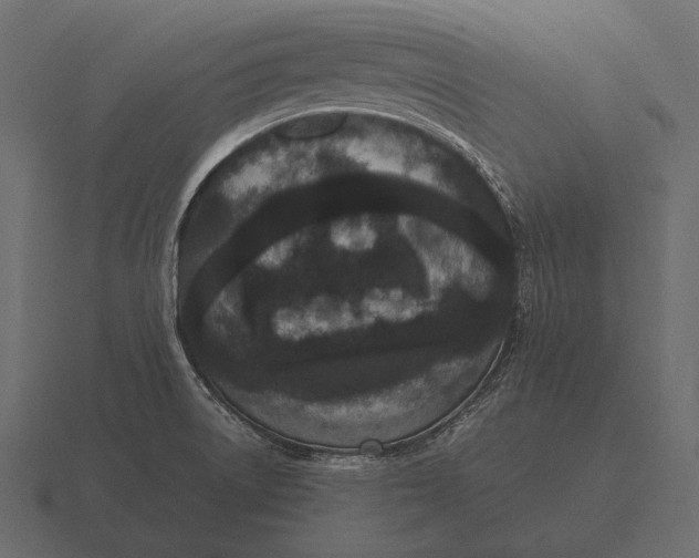 X0000116561522200912241605