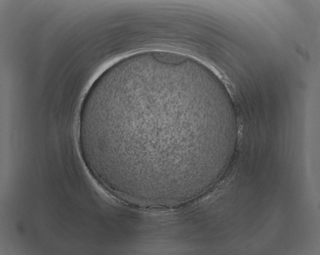 X0000116561523200912241605