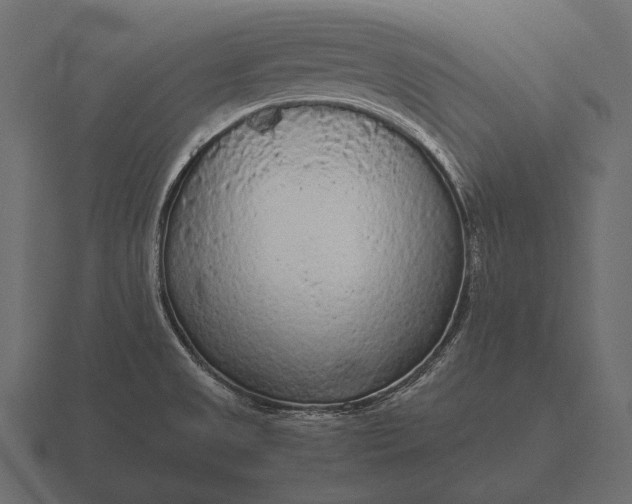 X0000116561525200912241605