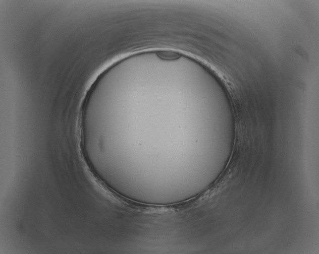 X0000116561526200912241605