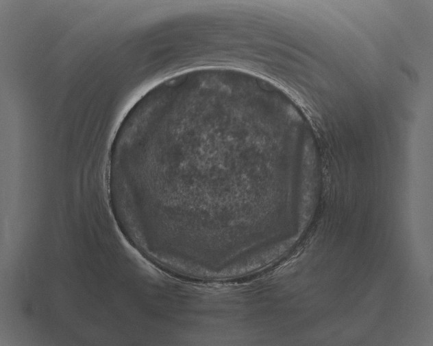 X0000116561527200912241605