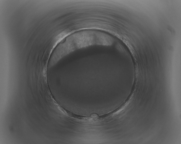 X0000116561529200912241605