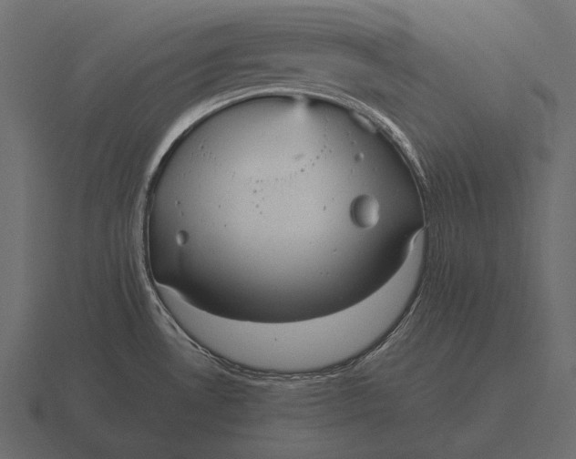 X0000116561530200912241605