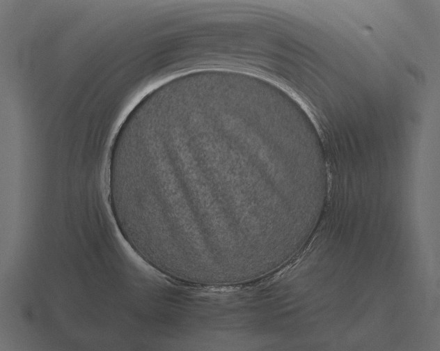 X0000116561531200912241605