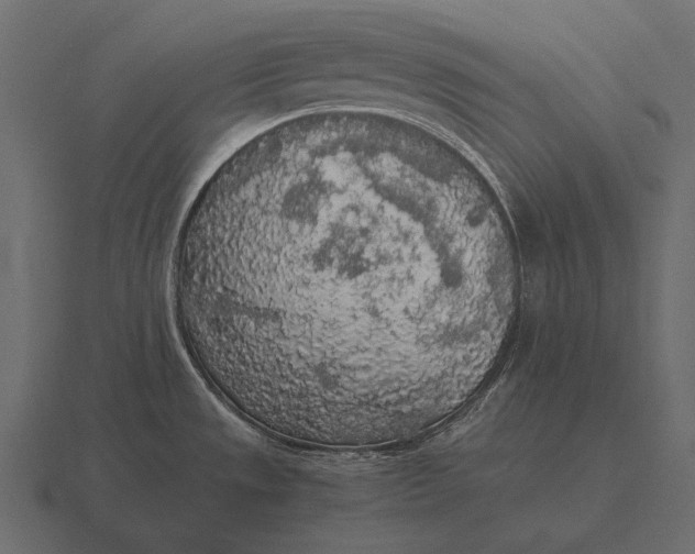 X0000116561533200912241605