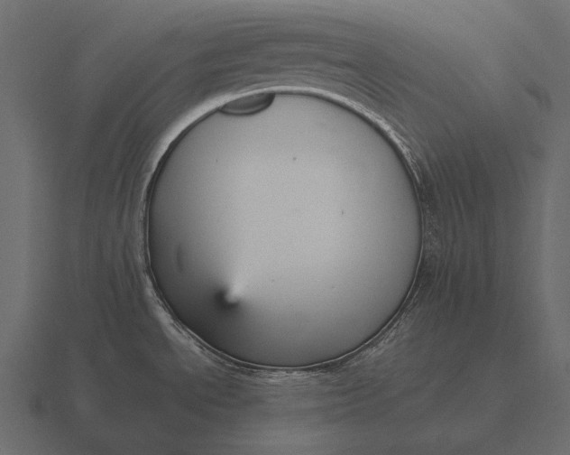 X0000116561534200912241605