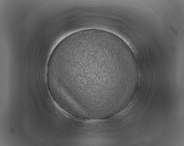 X0000116561535200912241605