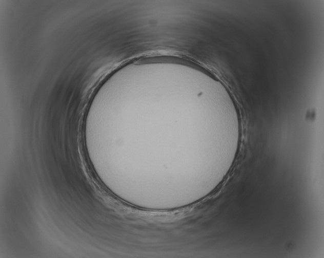 X0000116560001200912311942