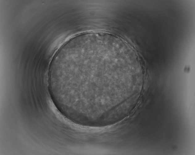 X0000116560002200912311942