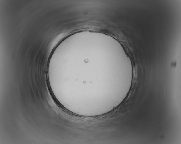 X0000116560003200912311942