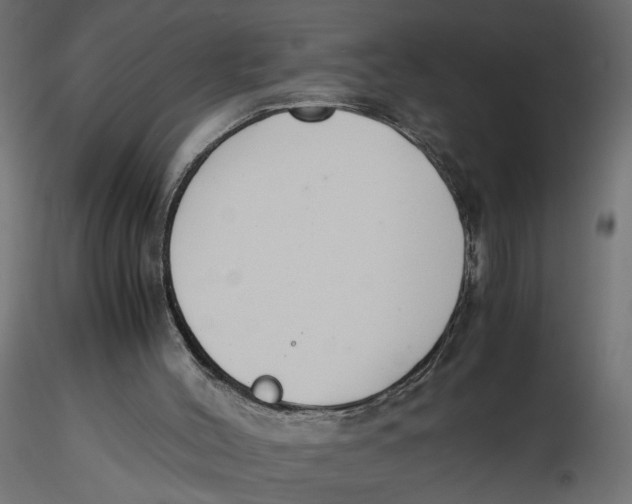 X0000116560004200912311942
