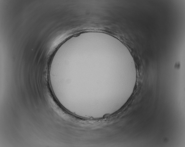 X0000116560005200912311942