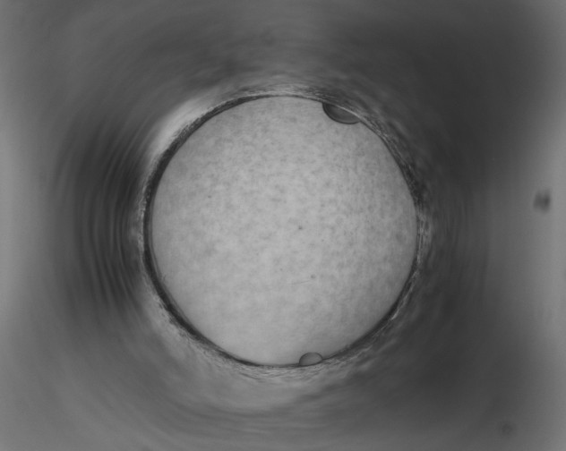 X0000116560006200912311942