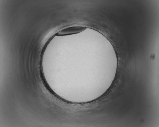 X0000116560007200912311942