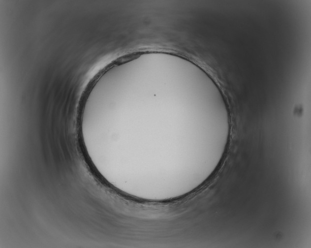 X0000116560008200912311942
