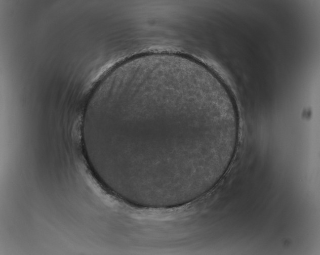 X0000116560009200912311942
