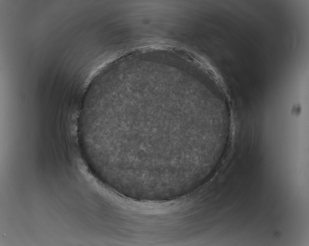 X0000116560010200912311942