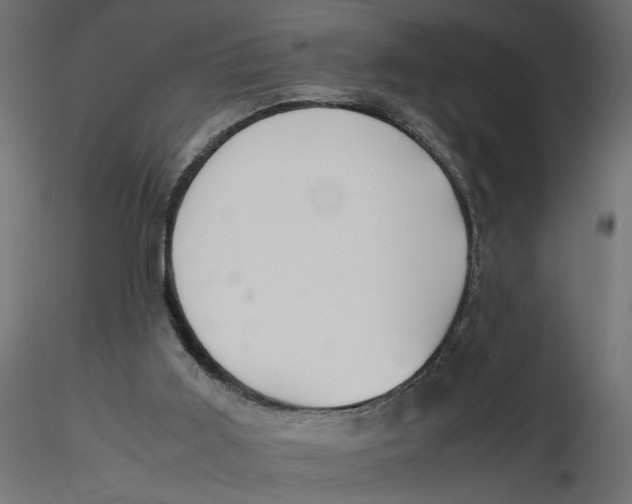 X0000116560011200912311942