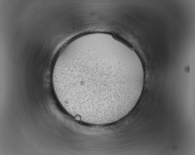 X0000116560012200912311942