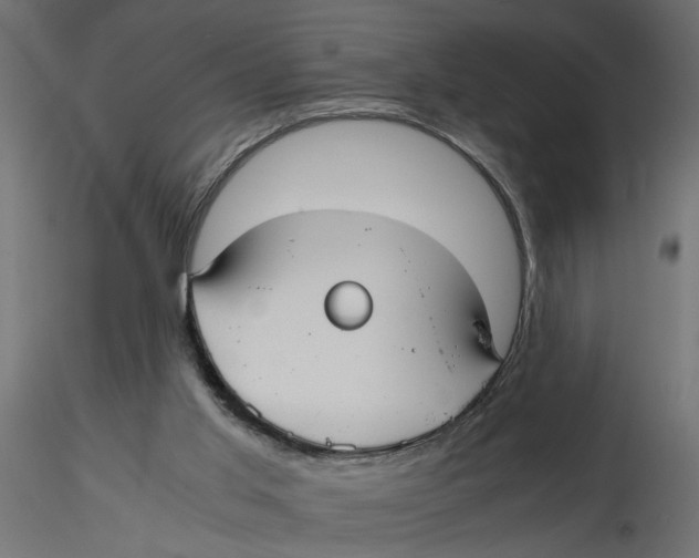X0000116560013200912311942