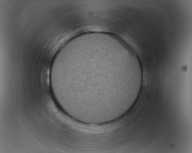 X0000116560014200912311942