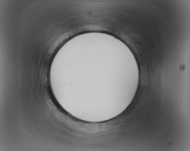 X0000116560015200912311942
