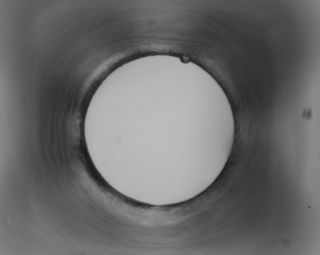 X0000116560016200912311942