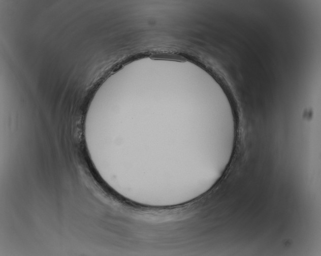 X0000116560017200912311942
