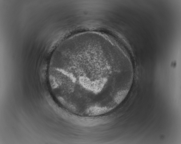 X0000116560018200912311942