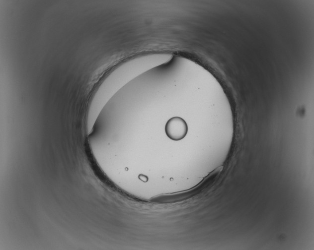 X0000116560019200912311942